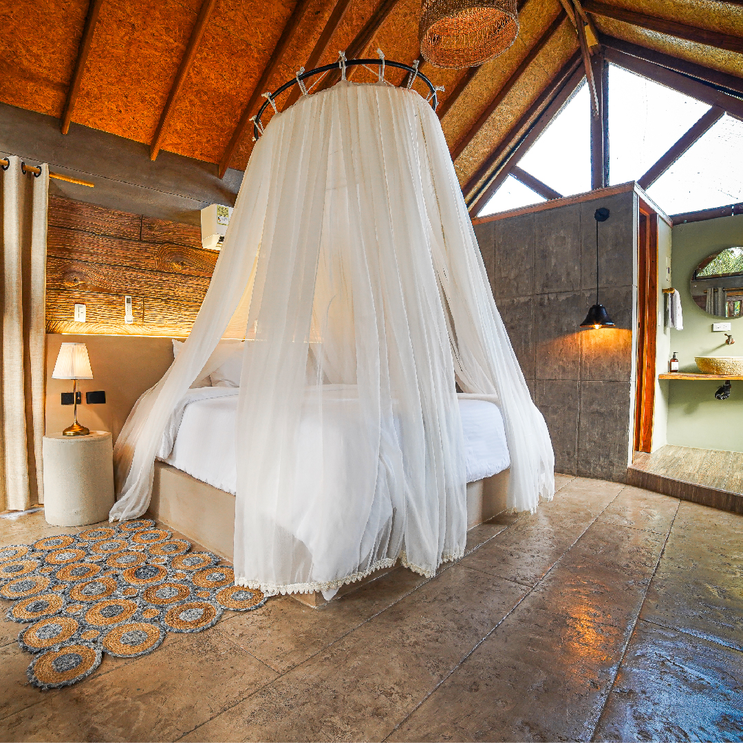 Sin título-2_Mesa de trabajo 1