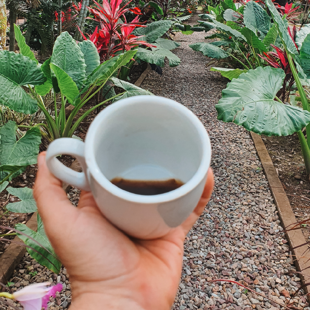 dbd_Mesa de trabajo 1